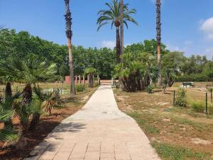 Zahrada ubytování Bas de villa cosy Juan les Pins avec jardin