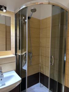 a bathroom with a shower and a sink at Coser Apartamenty ONZ in Warsaw