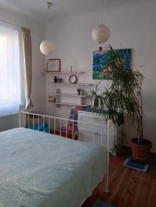 ワルシャワにあるŚrodkowa 30 - studio by Homeprimeのベッドルーム1室(ベッド1台、植物付)
