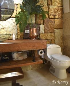 ein Badezimmer mit einem WC und einer Topfpflanze in der Unterkunft HERMOSA FINCA A 20 KM DE MEDELLIN LLENA DE NATURALEZA in Girardota