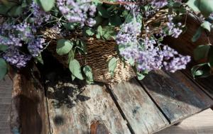 Fotografie z fotogalerie ubytování Suites Natura Mas Tapiolas v destinaci Santa Cristina d'Aro