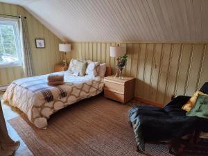 Posezení v ubytování Chalets NABU La Sacacomie - Rivière - Billard