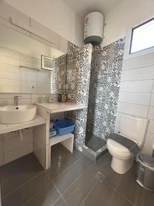 La salle de bains est pourvue d'un lavabo, de toilettes et d'une douche. dans l'établissement Rita's Appartements and Studios, à Karpathos