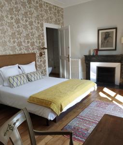 a bedroom with a large bed and a fireplace at La Maison Jules in Tours