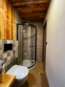 a bathroom with a glass shower and a toilet at Chata POD HOUBOVÝM VRCHEM 2 in Horní Planá