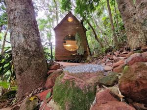 マイリポランにあるTiny House da serra perto de São Paulo em meio a naturezaの森の中の小さな木の家