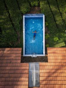 a person in the water in a swimming pool at Tealawn Pool Villa, Munnar in Munnar