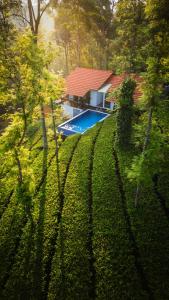 Tealawn Pool Villa, Munnar في مونار: منزل فيه مسبح في ساحة