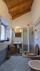 a bathroom with a toilet and a shower and a sink at Maso Daü in Marter di Roncegno