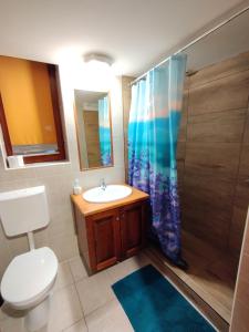 uma casa de banho com um WC, um lavatório e um chuveiro em Gyarmati Panzió & Étterem em Veszprém
