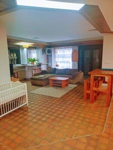 a living room with a couch and a table at St Maximin Erdgeschoß Lounge in Trier