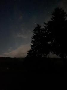 a night sky with two trees in a field at Sound Garden Biei, Cricket in Biei