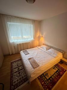 Ce lit se trouve dans un dortoir doté d'une fenêtre et d'un tapis. dans l'établissement SinaiaGateway, à Sinaia