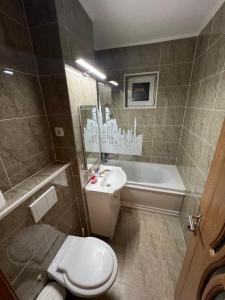 La salle de bains est pourvue de toilettes, d'un lavabo et d'une baignoire. dans l'établissement SinaiaGateway, à Sinaia