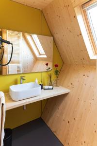 baño con lavabo y techo con tragaluz. en Glamping Alvearium Alturis en Gagliano