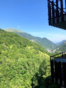 a view of a green valley with mountains at Sulle piste in Limone Piemonte