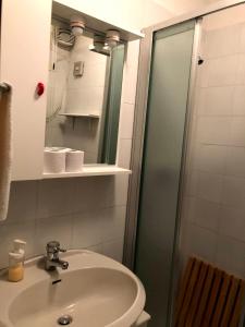 a bathroom with a sink and a shower at Sulle piste in Limone Piemonte