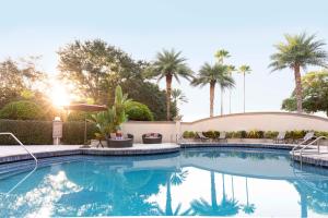 Buena Vista Suites Orlando في أورلاندو: مسبح في الخلف فيه نخيل