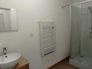La salle de bains est pourvue d'un lavabo et d'une douche. dans l'établissement La Résidence du Canal de Bourgogne, à Montbard