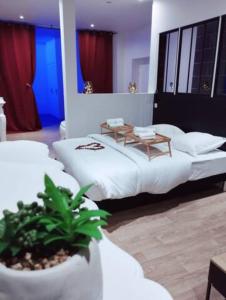 トゥールコワンにあるNG SuiteHome - Lille l Tourcoing Winoc - Balnéo - Sauna - Netflix - Wifiのベッドルーム1室(ベッド2台、鉢植え付)