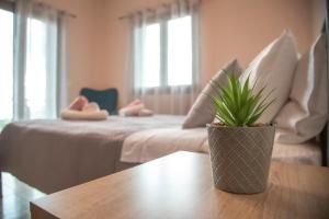 Zimmer mit einem Bett und einer Topfpflanze auf dem Tisch in der Unterkunft Blue Diamond in Chrani