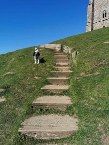 eine Treppe, die einen Hügel hinauf zu einer Kirche führt in der Unterkunft Globe Apartments in Glastonbury