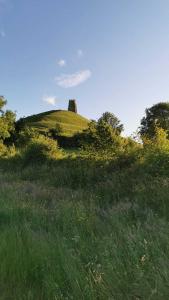 einen grasbewachsenen Hügel mit einem Schloss darüber in der Unterkunft Globe Apartments in Glastonbury