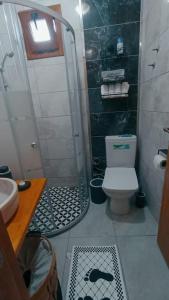 a bathroom with a shower with a toilet and a sink at Deniz Manzaralı Müstakil ev Aybalik in Ayvalık