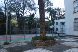 uma palmeira em frente a um campo de ténis em Casa do Estudante Universitário do Paraná em Curitiba