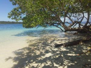 een boom op een zandstrand met water bij Putuo Ecolodge - House - Sleeps 2 - Seaside in Dadale