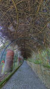 a stone path under a bridge with a tunnel at Quinta Verde Sintra - Casa de Campo in Sintra