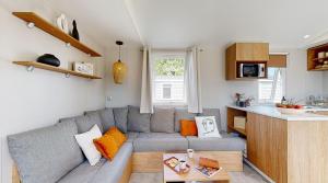 sala de estar con sofá gris y cocina en L'Oasis des Dombes en Ambérieux-en-Dombes