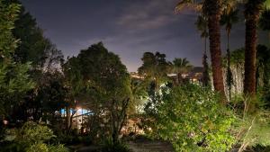 a group of palm trees and a building at night at Quinta Verde Sintra - Casa de Campo in Sintra