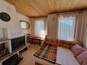 ein Wohnzimmer mit einem Sofa und einem Kamin in der Unterkunft Cozy & Spacious Pamporovo Villa in Stoykite