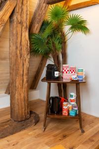 a table in a room with some plants on it at La maison de Ganil in Saint-Cirq-Lapopie