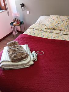 ein Tablett mit einem Sandwich auf dem Bett in der Unterkunft Aveiro Ria View in Aveiro