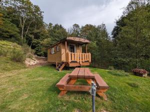 Une petite maison avec une table de pique-nique dans un champ dans l'établissement Roulotte cosy avec kitchenette, ruisseau apaisant et espace bien-être, nuit insolite à Ferdrupt - FR-1-589-444, à Ferdrupt
