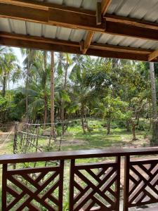 widok z werandy ośrodka z palmami w obiekcie Buhay Probinsya - Bubolongan w mieście El Nido