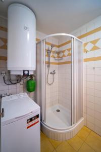 La salle de bains est pourvue d'une douche avec une porte en verre. dans l'établissement Apartment Riviera 500-15 Lipno Home, à Lipno nad Vltavou