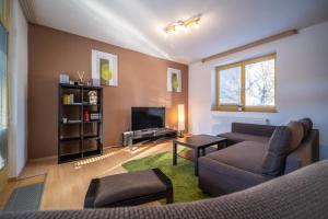 - un salon avec un canapé et une télévision dans l'établissement Apartment Riviera 500-15 Lipno Home, à Lipno nad Vltavou