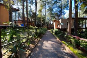 a path leading to a house in the woods at Casa con alberca y jacuzzi in Avándaro