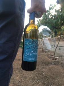 een persoon houdt een fles wijn vast bij Santerra, Valle de Guadalupe in Valle de Guadalupe