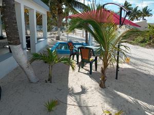 two chairs and a palm tree on the beach at casa de los abuelos in San Crisanto