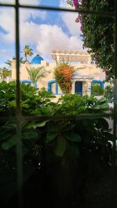 een uitzicht op een gebouw vanuit een raam met planten bij KATIS Villas Boutique Fuerteventura in Corralejo