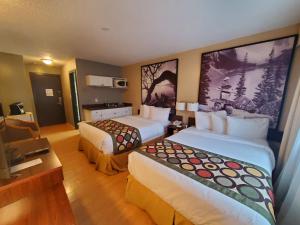 Letto o letti in una camera di Super 8 by Wyndham Duncan
