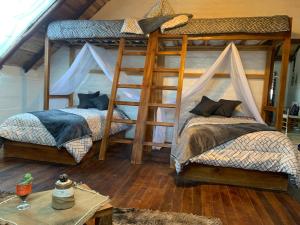 een slaapkamer met 2 stapelbedden en een tafel bij Chimborazo Rey lodge hotel in Guaranda