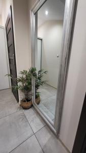 a mirror in a hallway with two potted plants at Aparthotel Riva in Zawiercie
