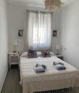 Giường trong phòng chung tại Precioso Ático en el Centro Histórico de Cádiz