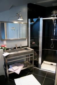 een badkamer met een douche en een wastafel bij LE BONHEUR DES HÔTES in Suèvres