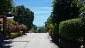 an empty street with bushes and trees on the side at Viewpoint Residence 2 Bedroom Villa in Koh Samui 
